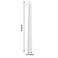 10" Taper Candle (12 Pack)