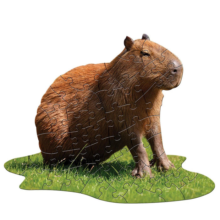 48 Piece Shaped Jigsaw Puzzle - I AM LiL' Capybara | Madd Capp