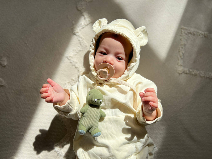 Bitzy Pal Natural Rubber Pacifier & Plush: Bow