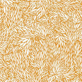 Blooms California Poppy