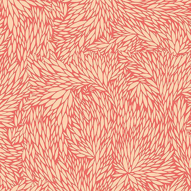 Blooms Sunbleached Coral