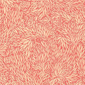 Blooms Sunbleached Coral
