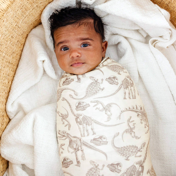 Copper Pearl Knit Swaddle Blanket | Jurassic Park Fossils