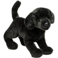 Douglas Chester Black Lab