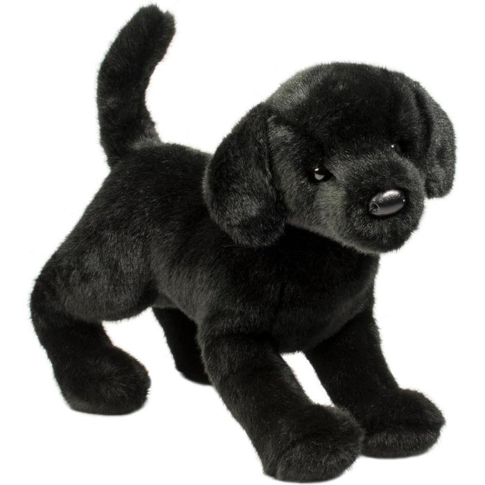 Douglas Chester Black Lab