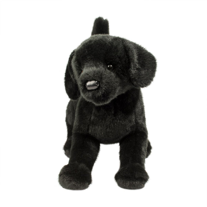 Douglas Chester Black Lab