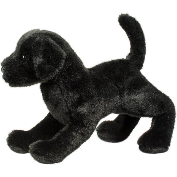 Douglas Chester Black Lab
