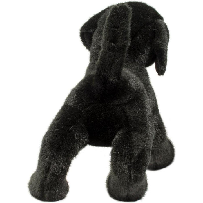 Douglas Chester Black Lab