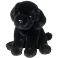 Douglas Ford Black Lab