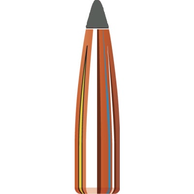 Factory Seconds .204 Diameter 40 Grain Polymer Tip 100 Count Bullets