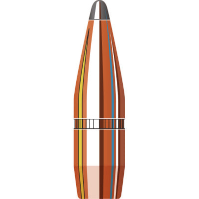 Factory Seconds .243 Diameter 100 Grain Boat Tail Spire Point 100 Count Bullets