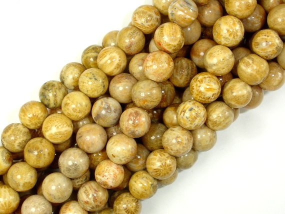 Fossil Coral Beads, 8mm Round Beads-BeadBasic