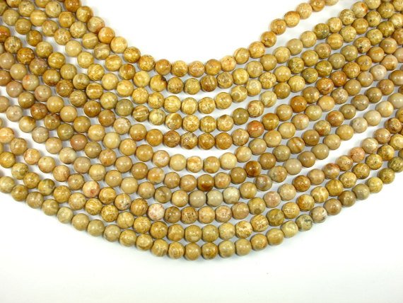 Fossil Coral Beads, 8mm Round Beads-BeadBasic