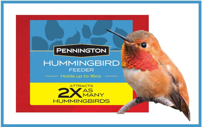 Hummingbird Feeder Glass 16 oz