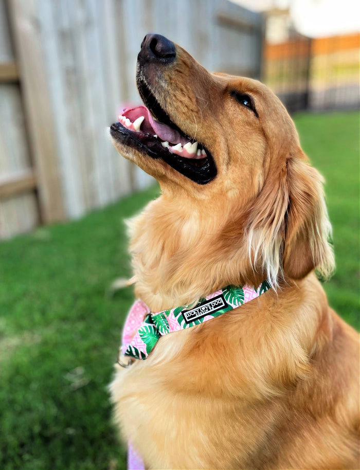 Laguna - Pink  Martingale Wholesale