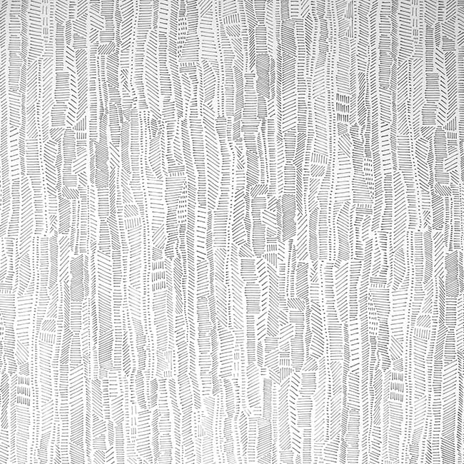 Linear Field Black & White