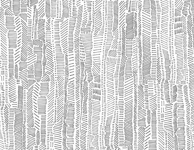 Linear Field Black & White