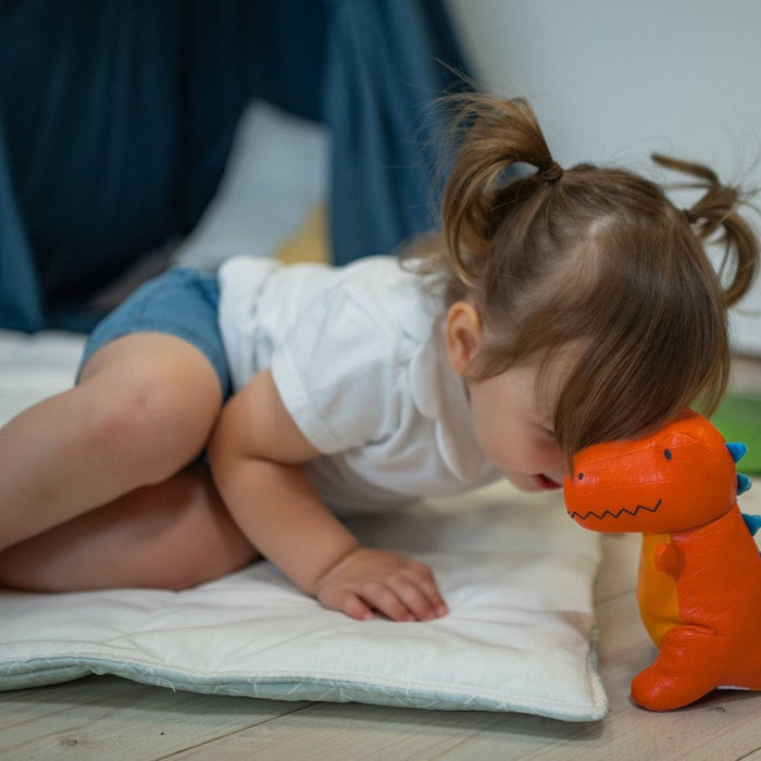 Little Big Friends Rex the Tyrannosaurus