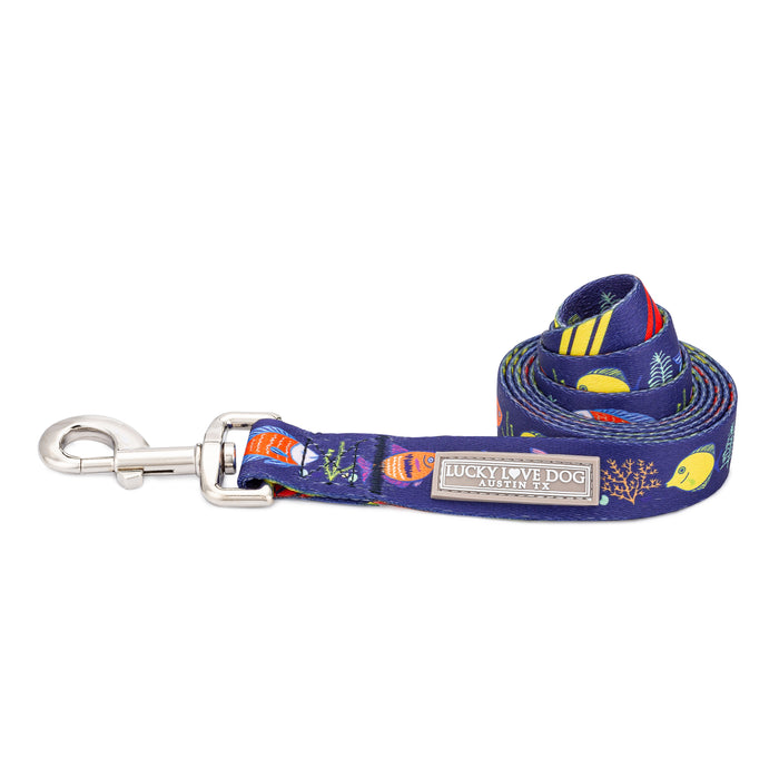 Mackey Martingale