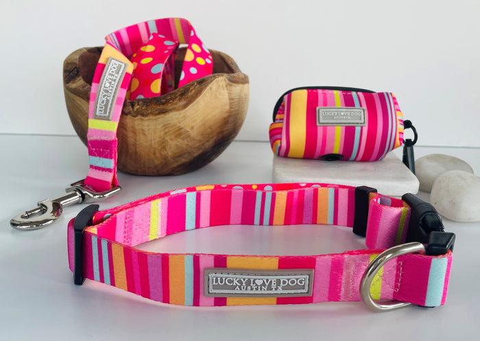 Molly Dog Collar and Leash Wholesale