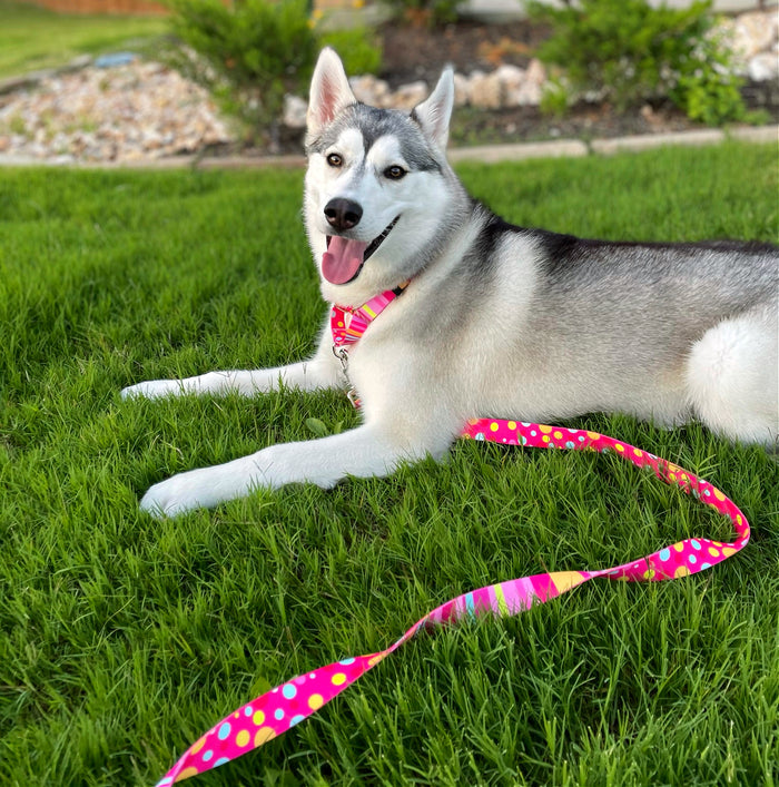 Molly Martingale Wholesale