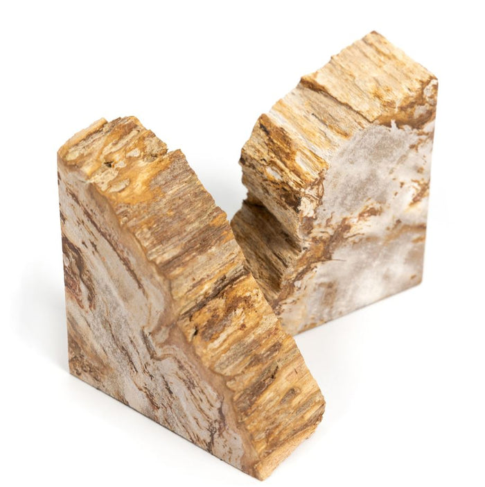 Petrified Wood Book Ends