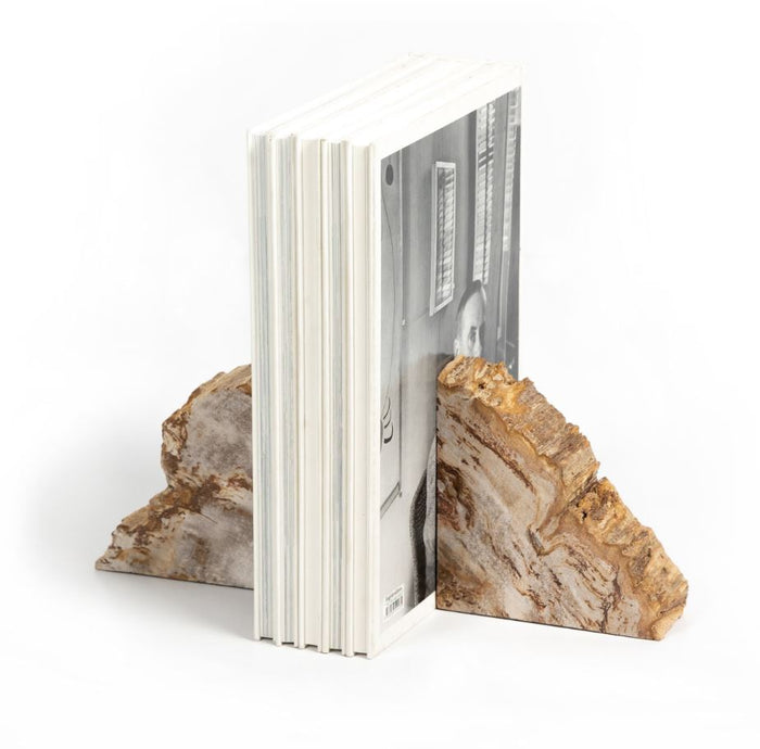 Petrified Wood Book Ends