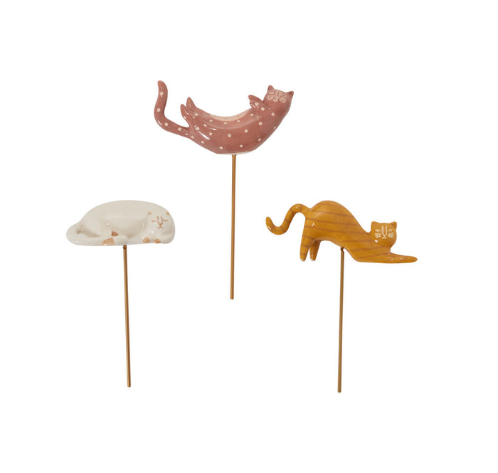 Plant Sticks -Curious Cats