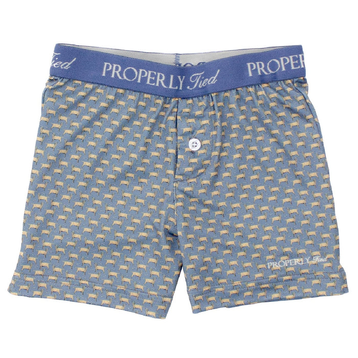 Properly Tied Boys Inlet Boxer | Up Dog