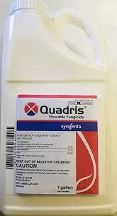 Quadris 1 gal Fungicide EPA 100-1098