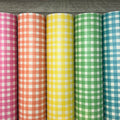 Spring Splendor Gingham Set