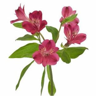DIY wedding flowers | Cheap wedding bouquet | DIY wedding bouquet | For sale wedding flowers | DIY flower centerpieces | DIY wedding centerpieces | DIY cheap | Cheap florist Louisville KY | Wedding florist Louisville KY | Wedding florist near me | Florist near me