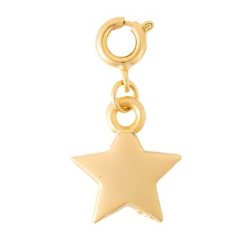 The Crown Matte Gold Star Charm